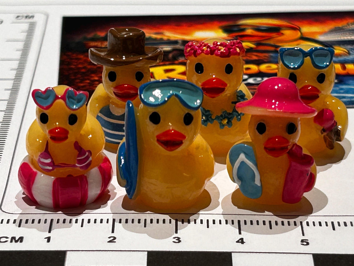 Set of 6, Vacation Time Fun Themed Mini Resin Ducks, Magnetic or Non-Magnetic, Optional Personalized Duck Hiding Tags