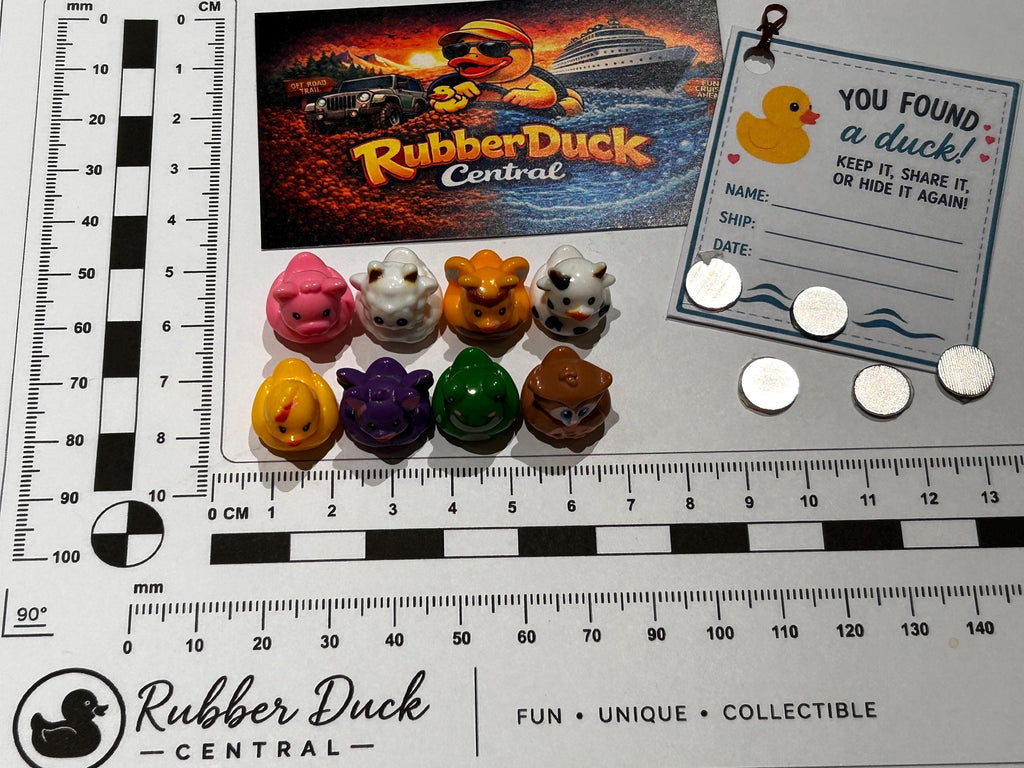 Set of 8, Mixed Animal (Set 4) Themed Mini Resin Ducks, Magnetic or Non-Magnetic, Optional Personalized Duck Hiding Tags