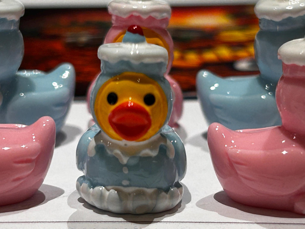Set of 6, Pink and Blue Cupcake Themed Mini Resin Ducks, Magnetic or Non-Magnetic, Optional Personalized Duck Hiding Tags