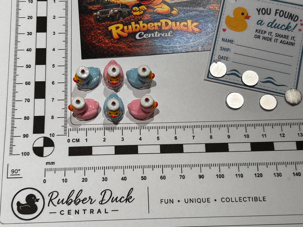 Set of 6, Pink and Blue Cupcake Themed Mini Resin Ducks, Magnetic or Non-Magnetic, Optional Personalized Duck Hiding Tags