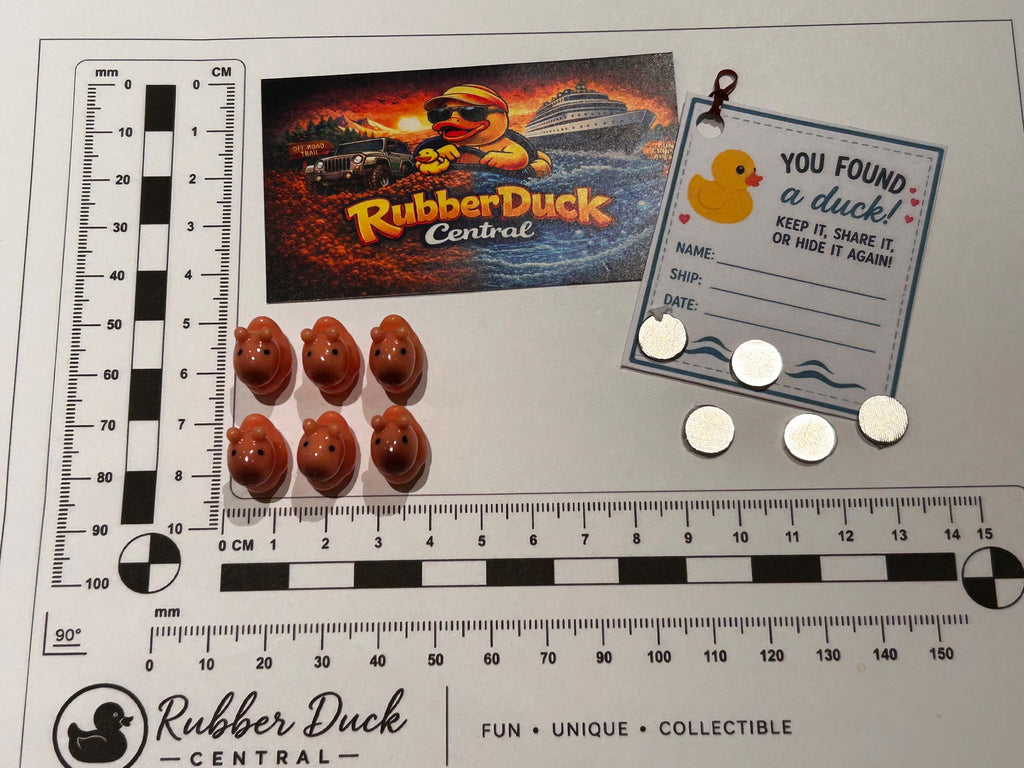 Set of 6, Capybara Themed Mini Resin Ducks, Magnetic or Non-Magnetic, Optional Personalized Duck Hiding Tags