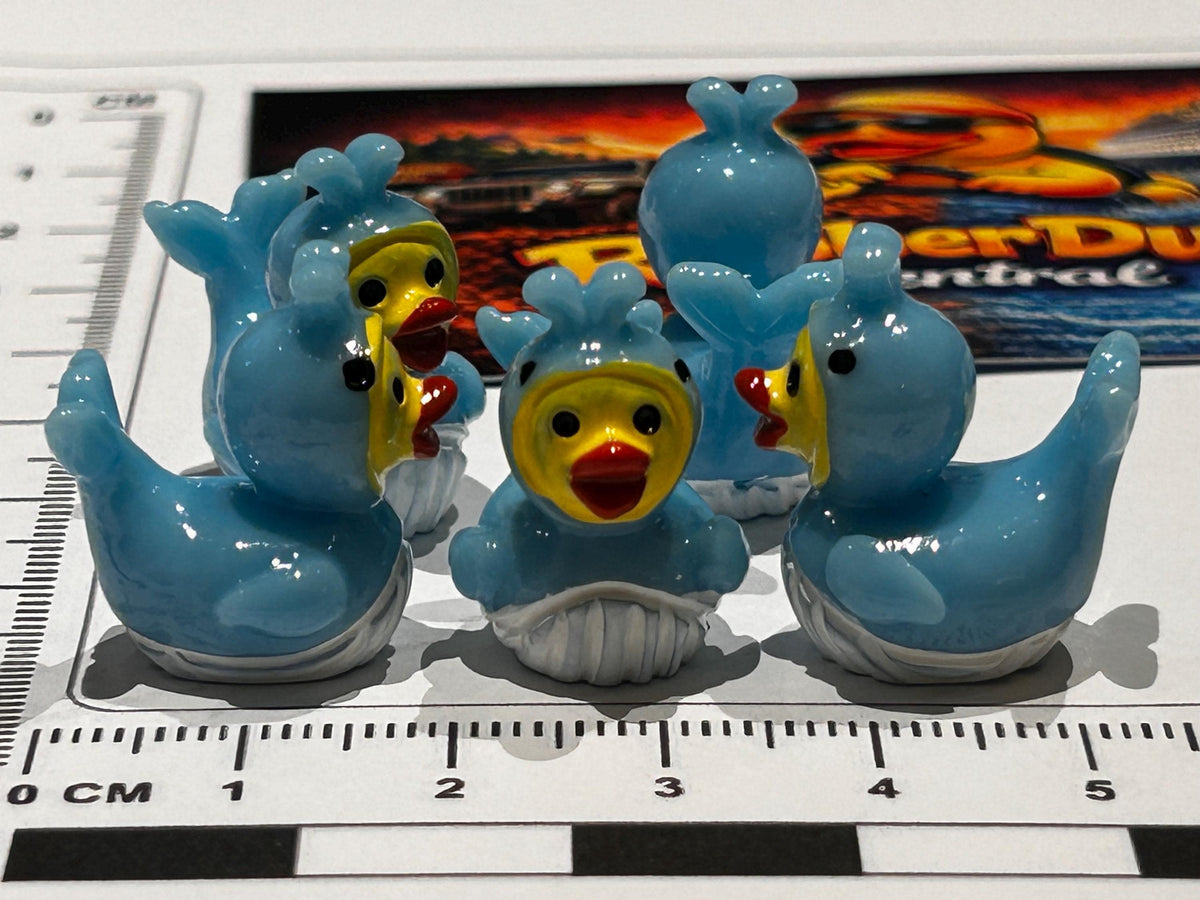 Set of 5, Whale Themed Mini Resin Ducks, Magnetic or Non-Magnetic, Optional Personalized Duck Hiding Tags
