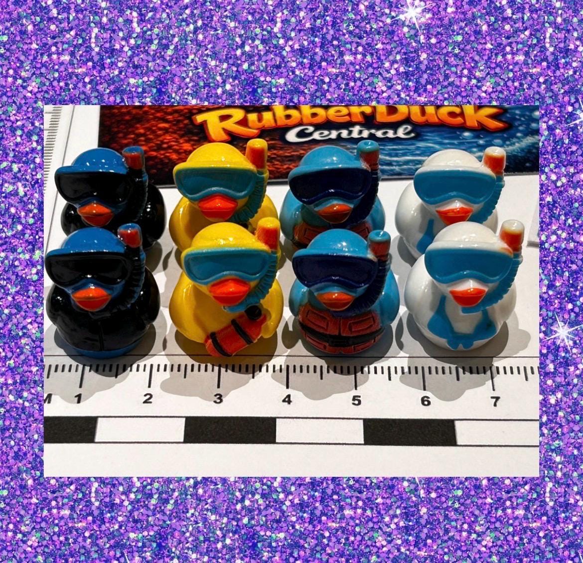 Set of 8, Snorkeling Themed Mini Resin Ducks, Magnetic or Non-Magnetic, Optional Personalized Duck Hiding Tags
