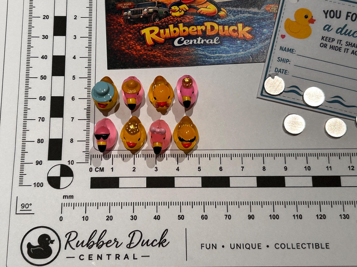 Set of 8, Glow-in-the-Dark Flamingos and Ducks Themed Mini Resin Ducks, Magnetic or Non-Magnetic, Optional Personalized Duck Hiding Tags