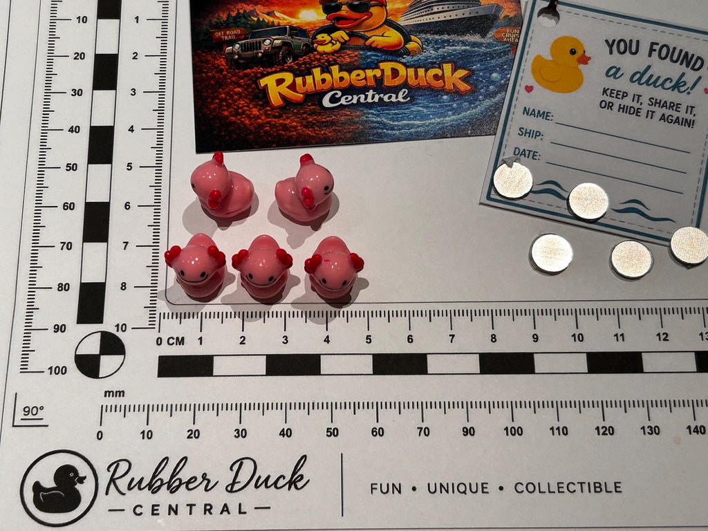 Set of 5, Pink Solid Axolotl Themed Mini Resin Ducks, Magnetic or Non-Magnetic, Optional Personalized Duck Hiding Tags