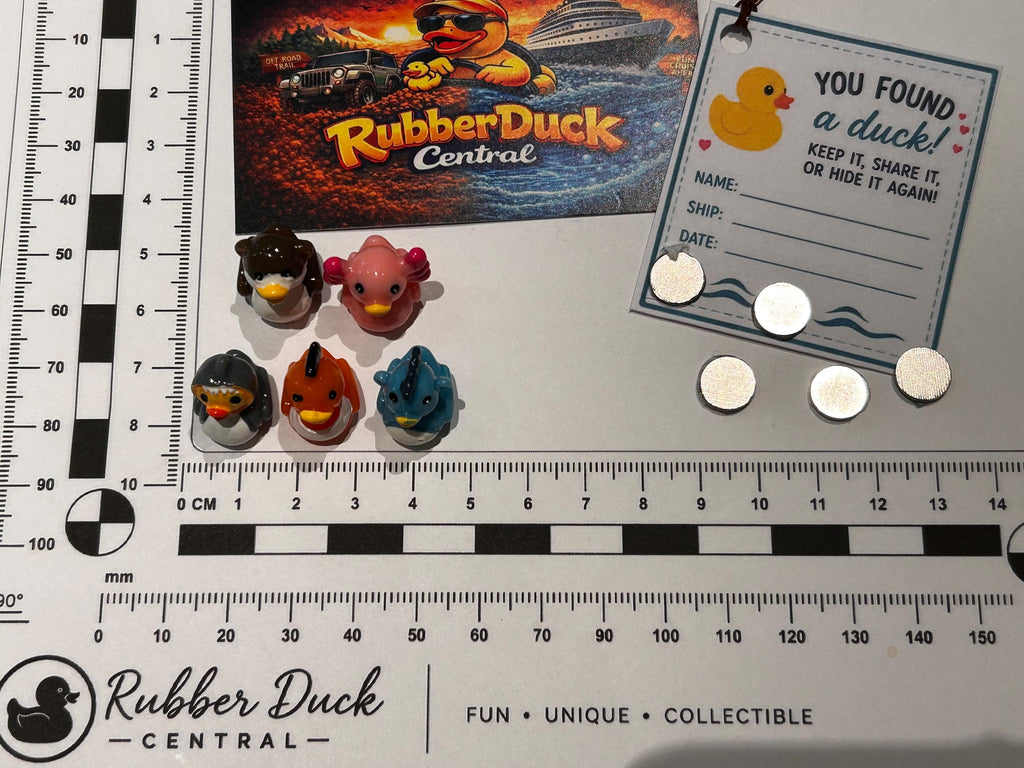 Set of 5, Solid Ocean Sea Life Themed Mini Resin Ducks, Magnetic or Non-Magnetic, Optional Personalized Duck Hiding Tags