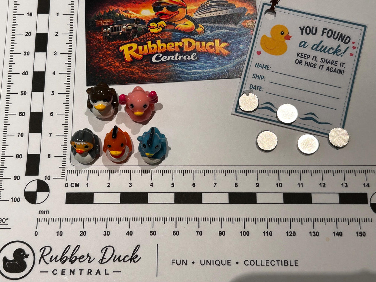Set of 5, Solid Ocean Sea Life Themed Mini Resin Ducks, Magnetic or Non-Magnetic, Optional Personalized Duck Hiding Tags