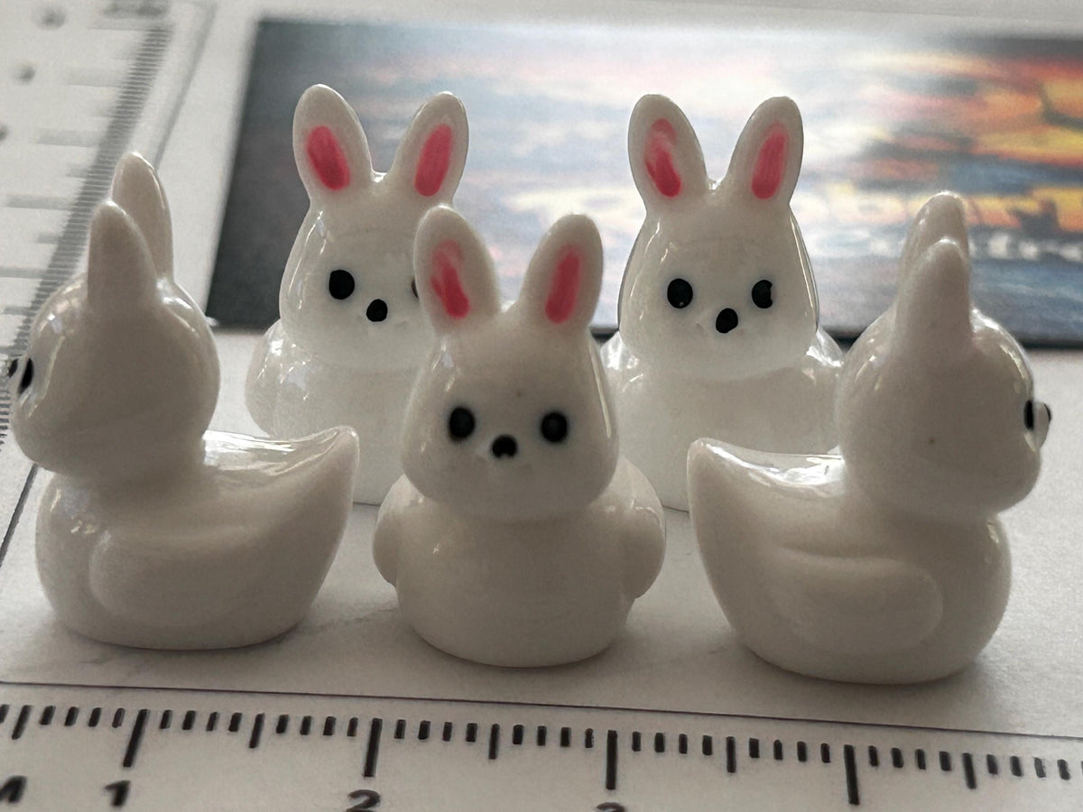 Set of 5, Bunny Rabbit Themed Mini Resin Ducks, Magnetic or Non-Magnetic, Optional Personalized Duck Hiding Tags