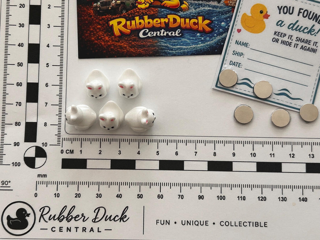 Set of 5, Bunny Rabbit Themed Mini Resin Ducks, Magnetic or Non-Magnetic, Optional Personalized Duck Hiding Tags