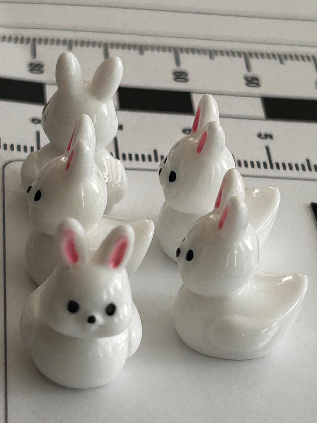 Set of 5, Bunny Rabbit Themed Mini Resin Ducks, Magnetic or Non-Magnetic, Optional Personalized Duck Hiding Tags
