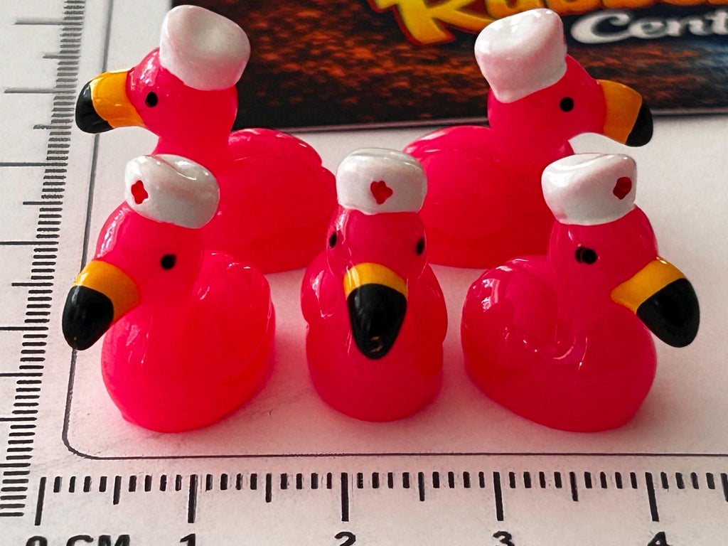Set of 5, Flamingo Nurse Themed Mini Resin Ducks, Magnetic or Non-Magnetic, Optional Personalized Duck Hiding Tags