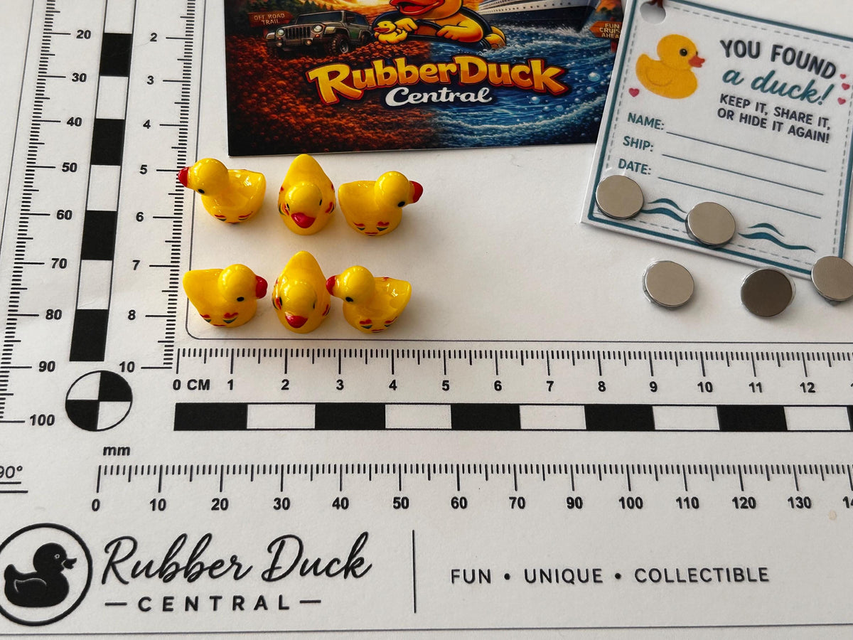 Set of 6, Rainbow Hearts Themed Mini Resin Ducks, Magnetic or Non-Magnetic, Optional Personalized Duck Hiding Tags