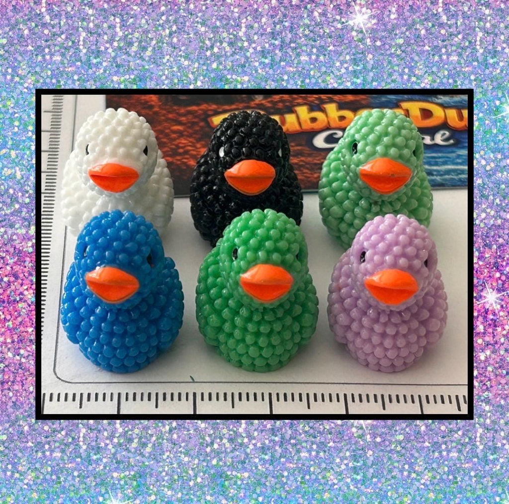 Set of 6, Textured Mini Resin Ducks, Magnetic or Non-Magnetic, Optional Personalized Duck Hiding Tags