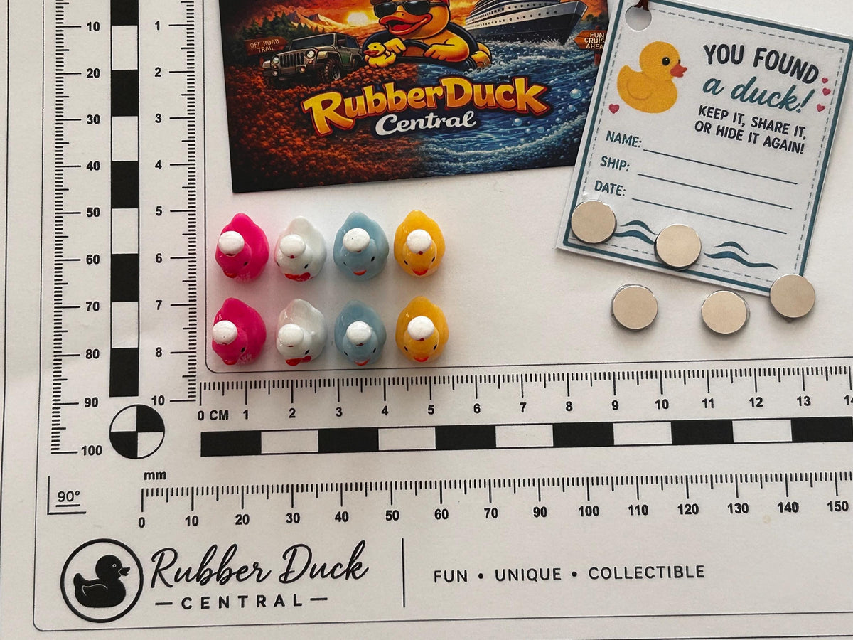Set of 8, Nurse with Hat Themed Mini Resin Ducks, Magnetic or Non-Magnetic, Optional Personalized Duck Hiding Tags