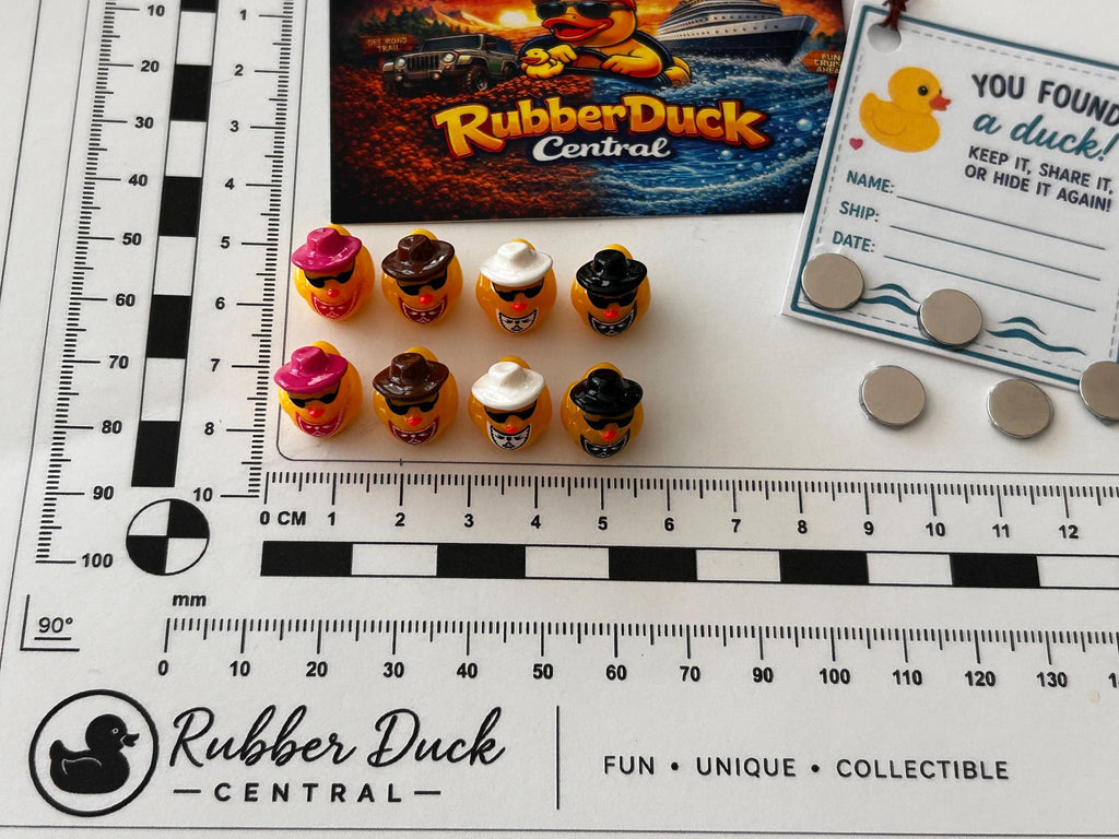Set of 8, Cowboy Hat and Scarf Themed Mini Resin Ducks, Magnetic or Non-Magnetic, Optional Personalized Duck Hiding Tags