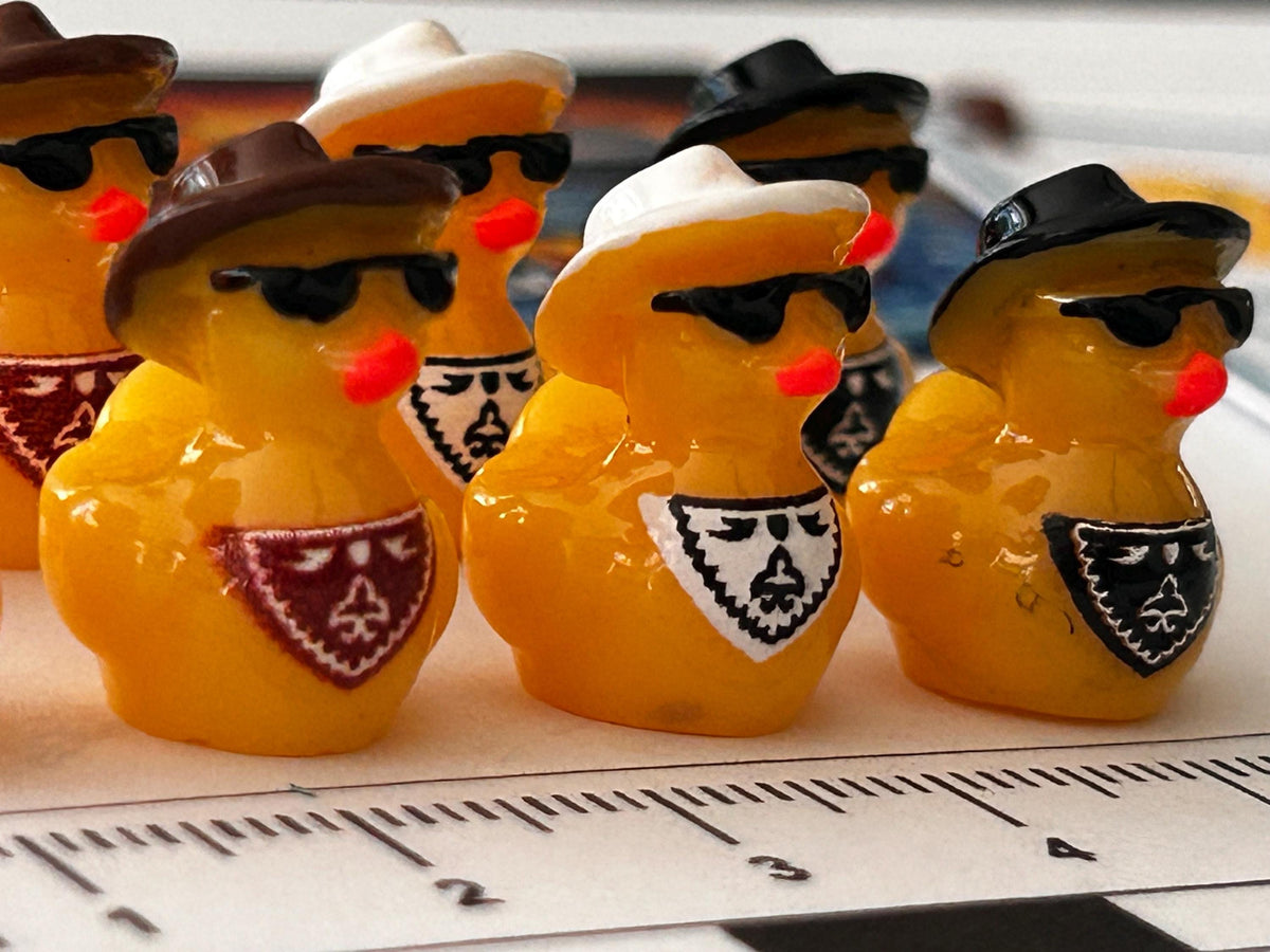 Set of 8, Cowboy Hat and Scarf Themed Mini Resin Ducks, Magnetic or Non-Magnetic, Optional Personalized Duck Hiding Tags