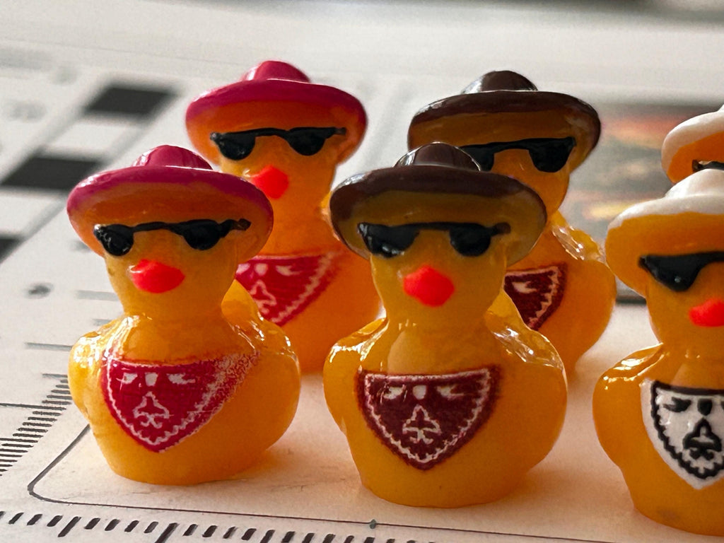 Set of 8, Cowboy Hat and Scarf Themed Mini Resin Ducks, Magnetic or Non-Magnetic, Optional Personalized Duck Hiding Tags