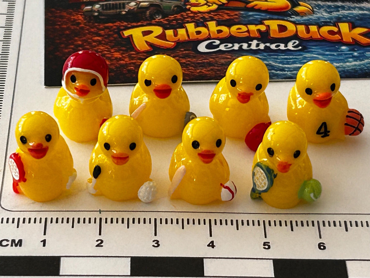 Set of 8, Sports Themed Mini Resin Ducks, Magnetic or Non-Magnetic, Optional Personalized Duck Hiding Tags