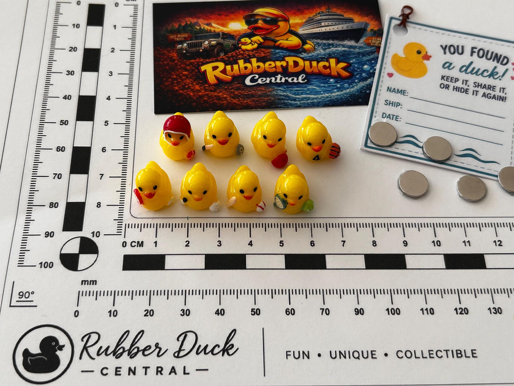 Set of 8, Sports Themed Mini Resin Ducks, Magnetic or Non-Magnetic, Optional Personalized Duck Hiding Tags
