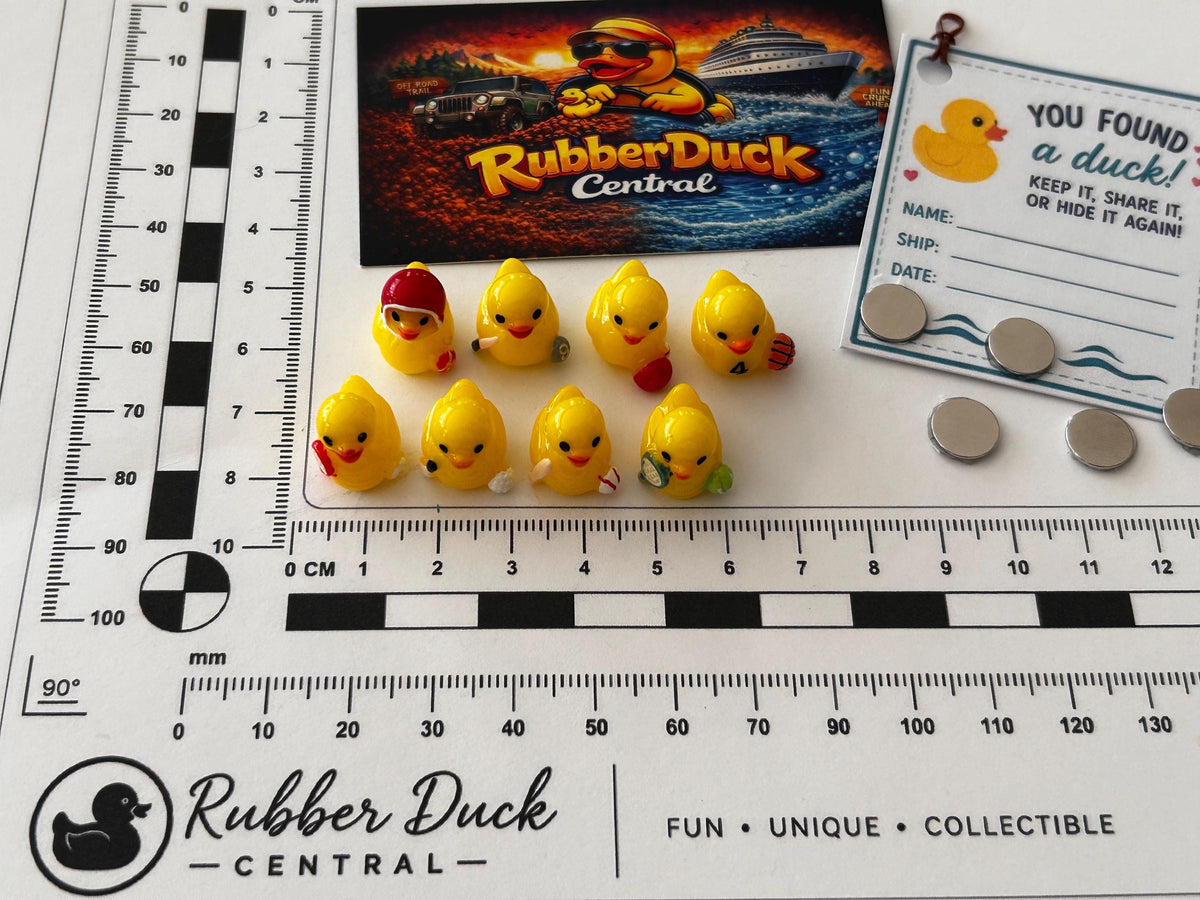Set of 8, Sports Themed Mini Resin Ducks, Magnetic or Non-Magnetic, Optional Personalized Duck Hiding Tags