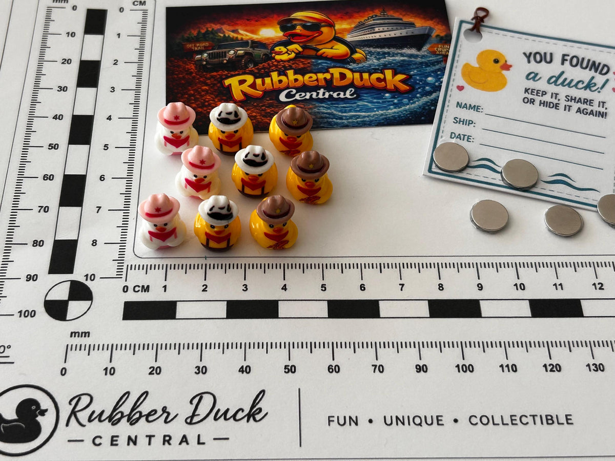 Set of 9, Western Wear Themed Mini Resin Ducks, Magnetic or Non-Magnetic, Optional Personalized Duck Hiding Tags