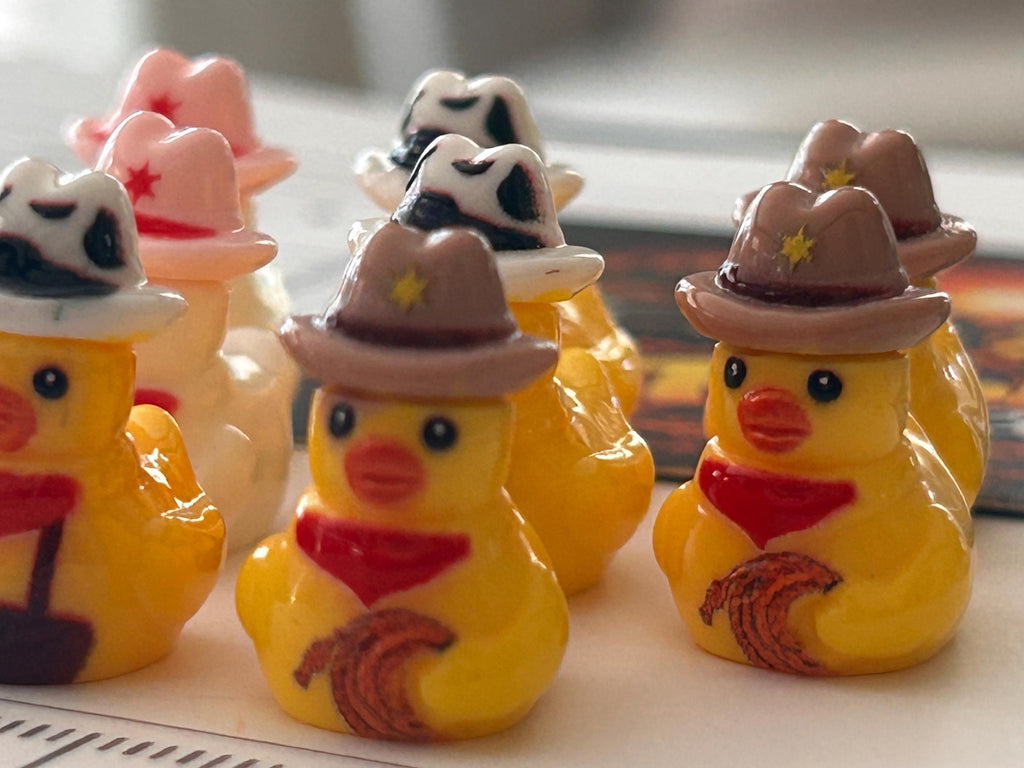 Set of 9, Western Wear Themed Mini Resin Ducks, Magnetic or Non-Magnetic, Optional Personalized Duck Hiding Tags