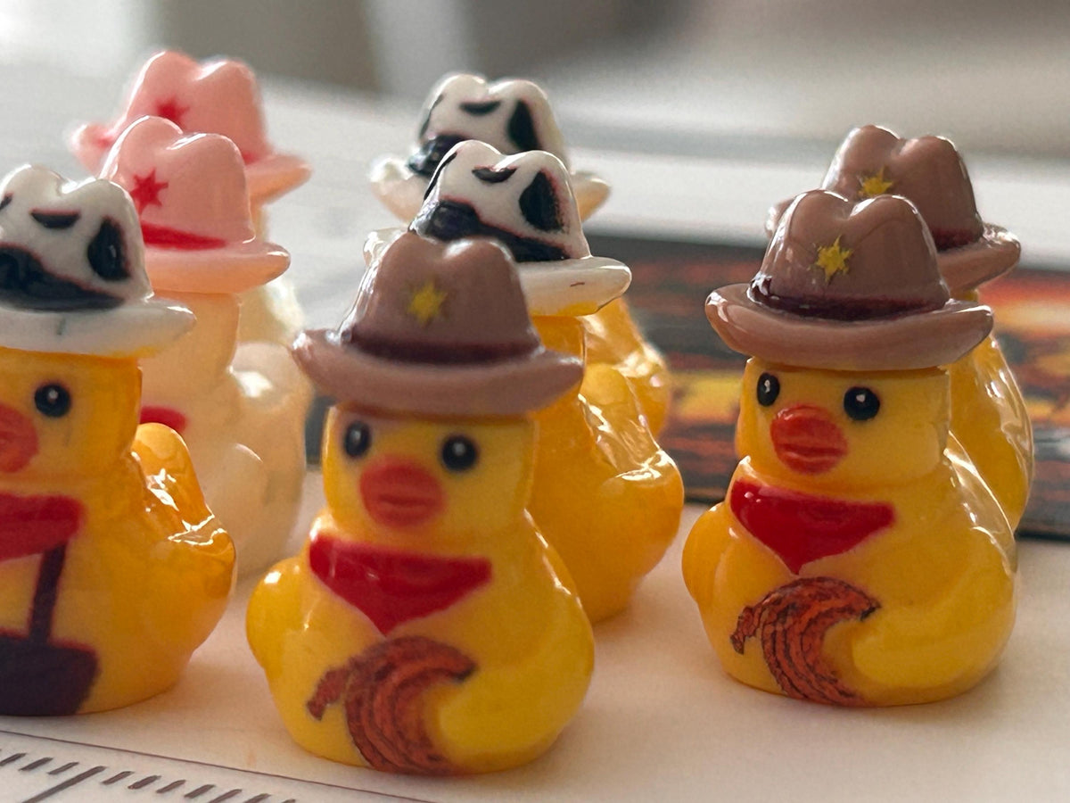 Set of 9, Western Wear Themed Mini Resin Ducks, Magnetic or Non-Magnetic, Optional Personalized Duck Hiding Tags