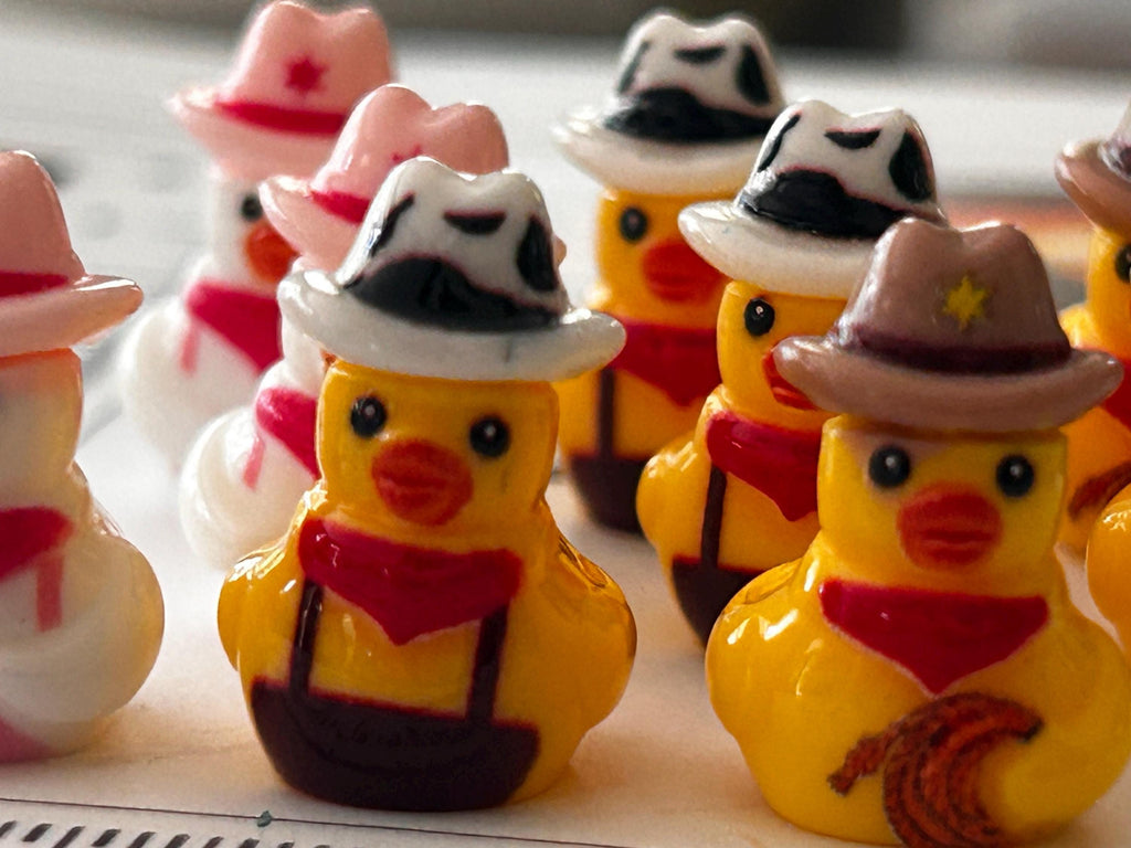 Set of 9, Western Wear Themed Mini Resin Ducks, Magnetic or Non-Magnetic, Optional Personalized Duck Hiding Tags