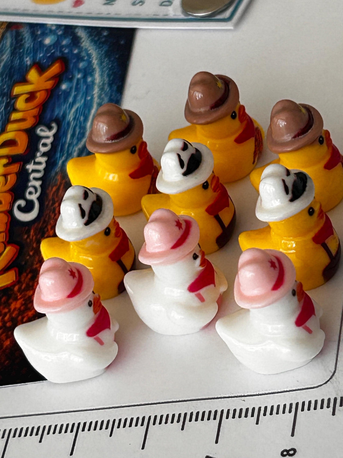 Set of 9, Western Wear Themed Mini Resin Ducks, Magnetic or Non-Magnetic, Optional Personalized Duck Hiding Tags