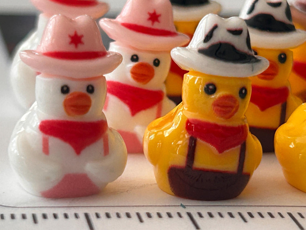 Set of 9, Western Wear Themed Mini Resin Ducks, Magnetic or Non-Magnetic, Optional Personalized Duck Hiding Tags
