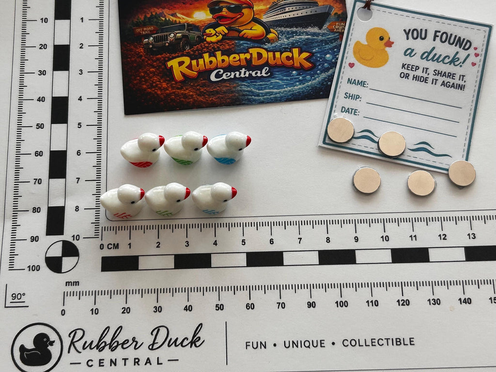 Set of 6, Volleyball Themed Mini Resin Ducks, Magnetic or Non-Magnetic, Optional Personalized Duck Hiding Tags