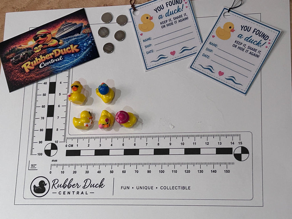 Set of 5, Summer Beach Themed Mini Resin Ducks, Magnetic or Non-Magnetic, Optional Personalized Duck Hiding Tags