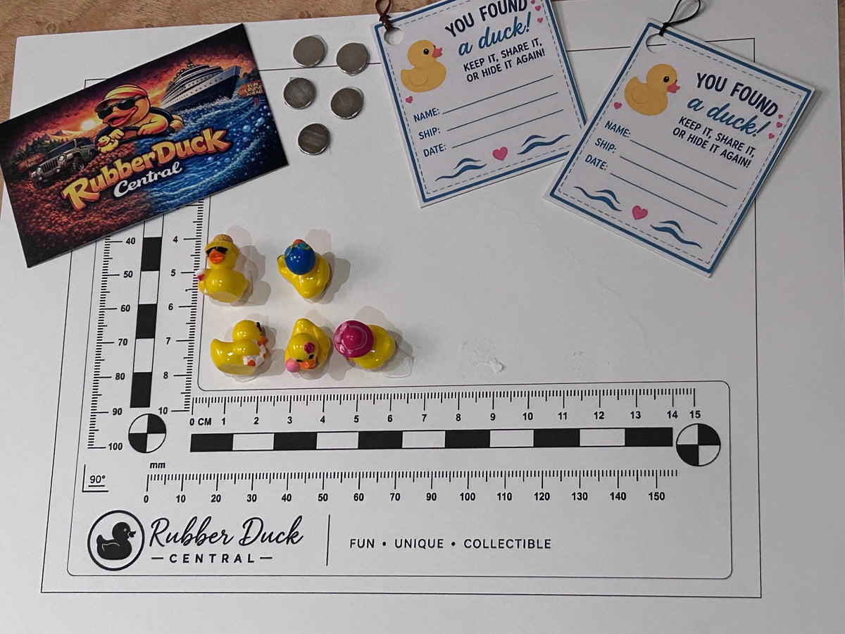 Set of 5, Summer Beach Themed Mini Resin Ducks, Magnetic or Non-Magnetic, Optional Personalized Duck Hiding Tags