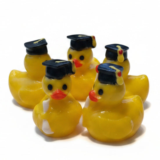 Set of 5, Graduation Themed Mini Resin Ducks, Magnetic or Non-Magnetic, Optional Personalized Duck Hiding Tags