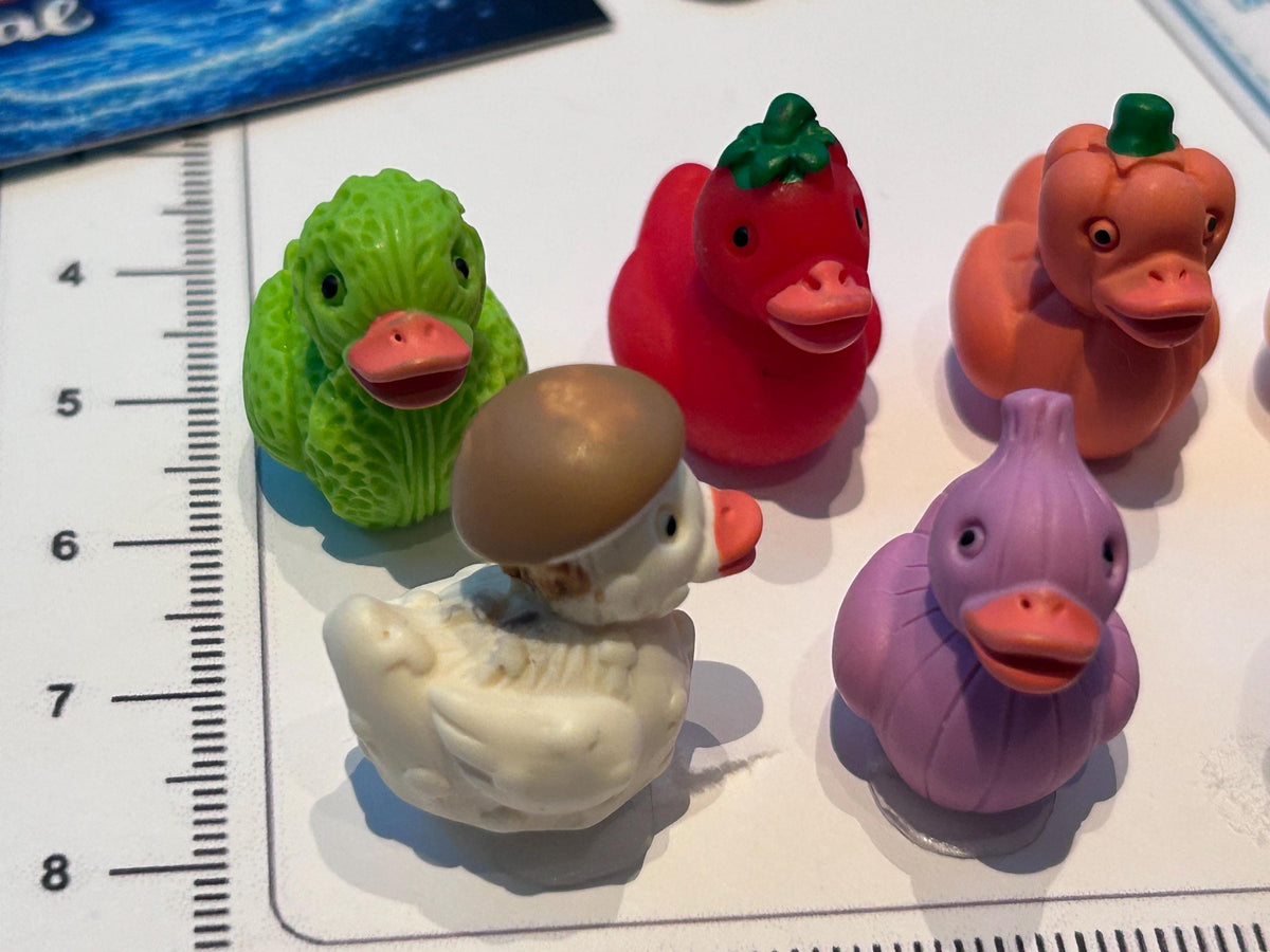 Set of 8, Vegetable Themed Mini Resin Ducks, Magnetic or Non-Magnetic, Optional Personalized Duck Hiding Tags