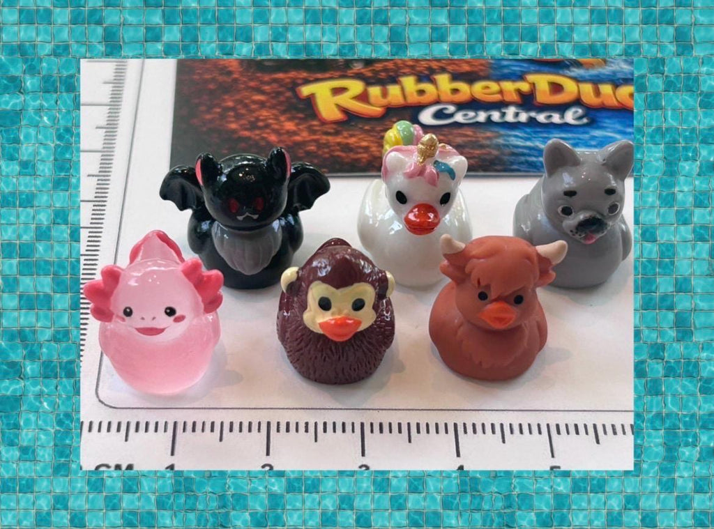 Set of 6, Novelty Animal Themed Mini Resin Ducks, Magnetic or Non-Magnetic, Optional Personalized Duck Hiding Tags