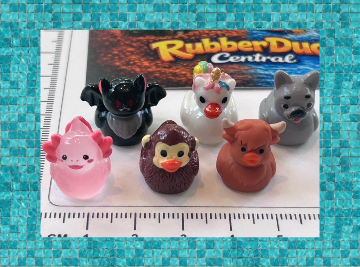 Set of 6, Novelty Animal Themed Mini Resin Ducks, Magnetic or Non-Magnetic, Optional Personalized Duck Hiding Tags