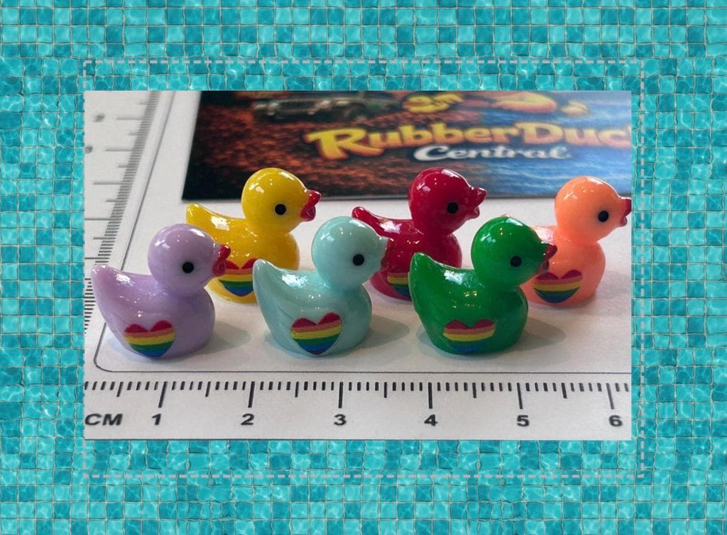 Set of 6, Colorful Rainbow Themed Mini Resin Ducks, Magnetic or Non-Magnetic, Optional Personalized Duck Hiding Tags