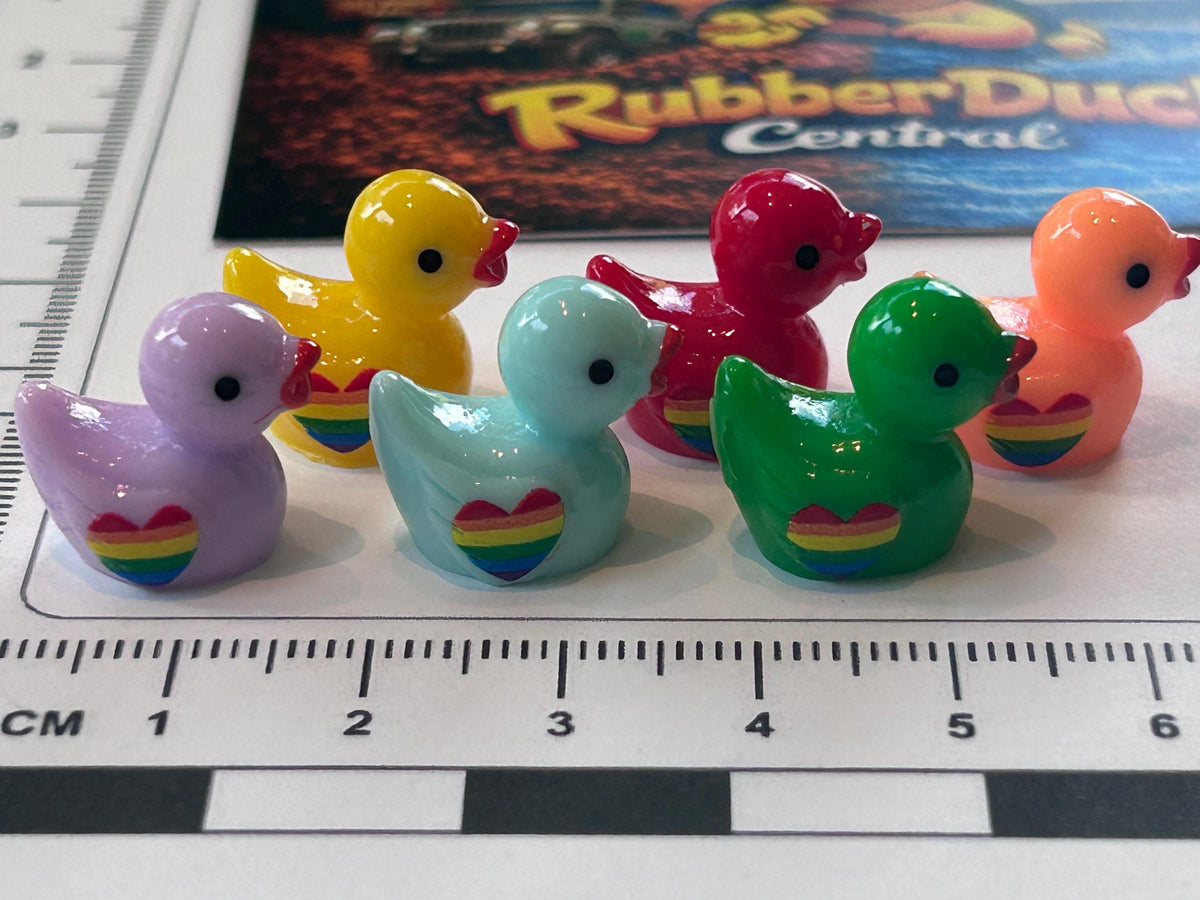 Set of 6, Colorful Rainbow Themed Mini Resin Ducks, Magnetic or Non-Magnetic, Optional Personalized Duck Hiding Tags