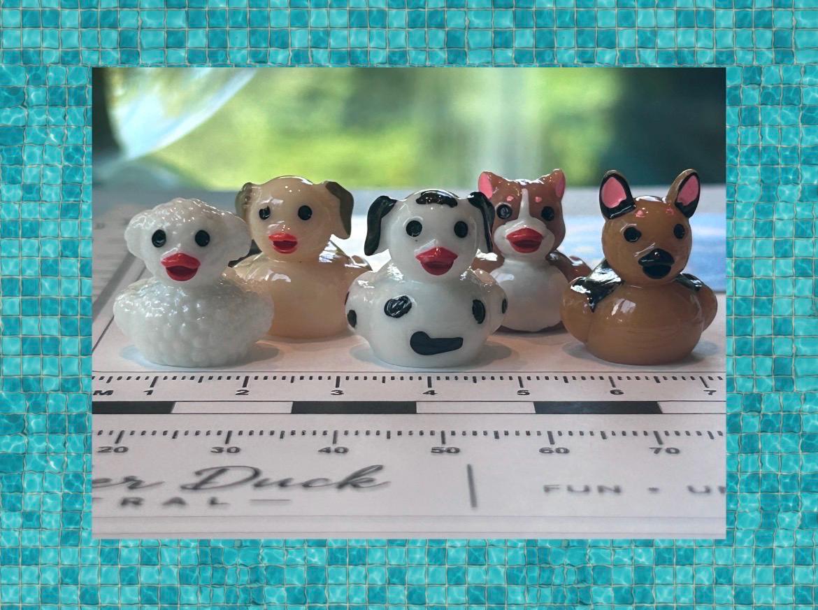 Set of 5, Puppy Dog Themed Mini Resin Ducks, Magnetic or Non-Magnetic, Optional Personalized Duck Hiding Tags