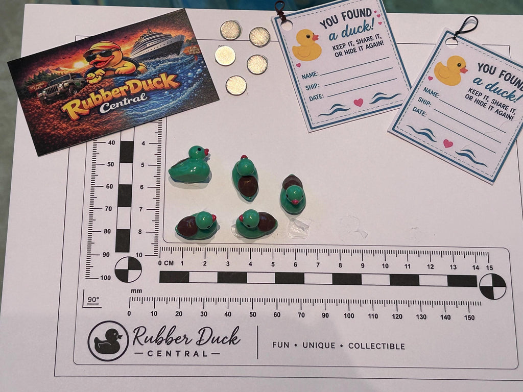 Set of 5, Turtle Themed Mini Resin Ducks, Magnetic or Non-Magnetic, Optional Personalized Duck Hiding Tags