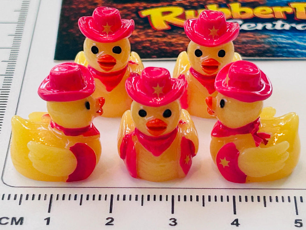 Set of 5, Pink Cowgirl Themed Mini Resin Ducks, Magnetic or Non-Magnetic, Optional Personalized Duck Hiding Tags