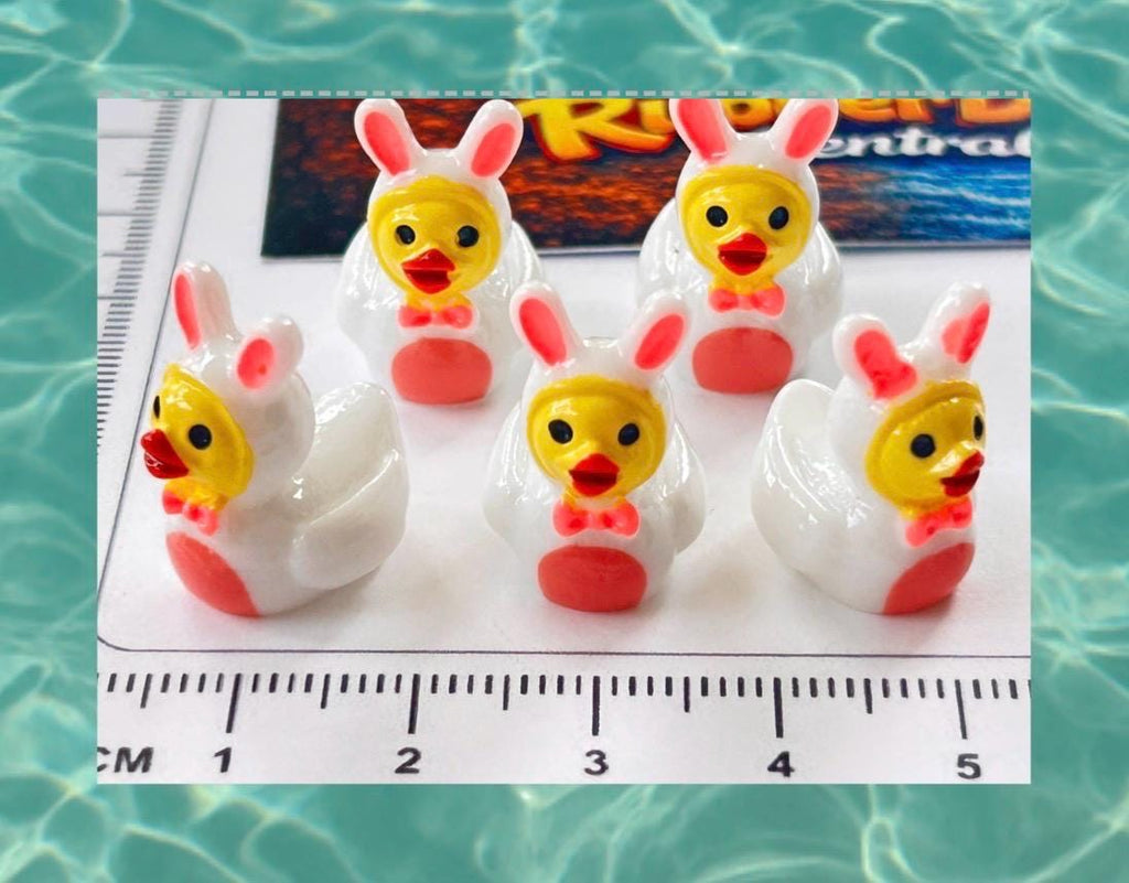 Set of 5, Bunny Rabbit Costume Themed Mini Resin Ducks, Magnetic or Non-Magnetic, Optional Personalized Duck Hiding Tags