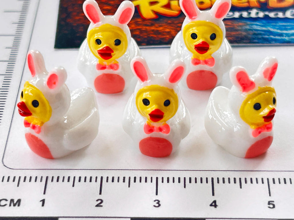 Set of 5, Bunny Rabbit Costume Themed Mini Resin Ducks, Magnetic or Non-Magnetic, Optional Personalized Duck Hiding Tags