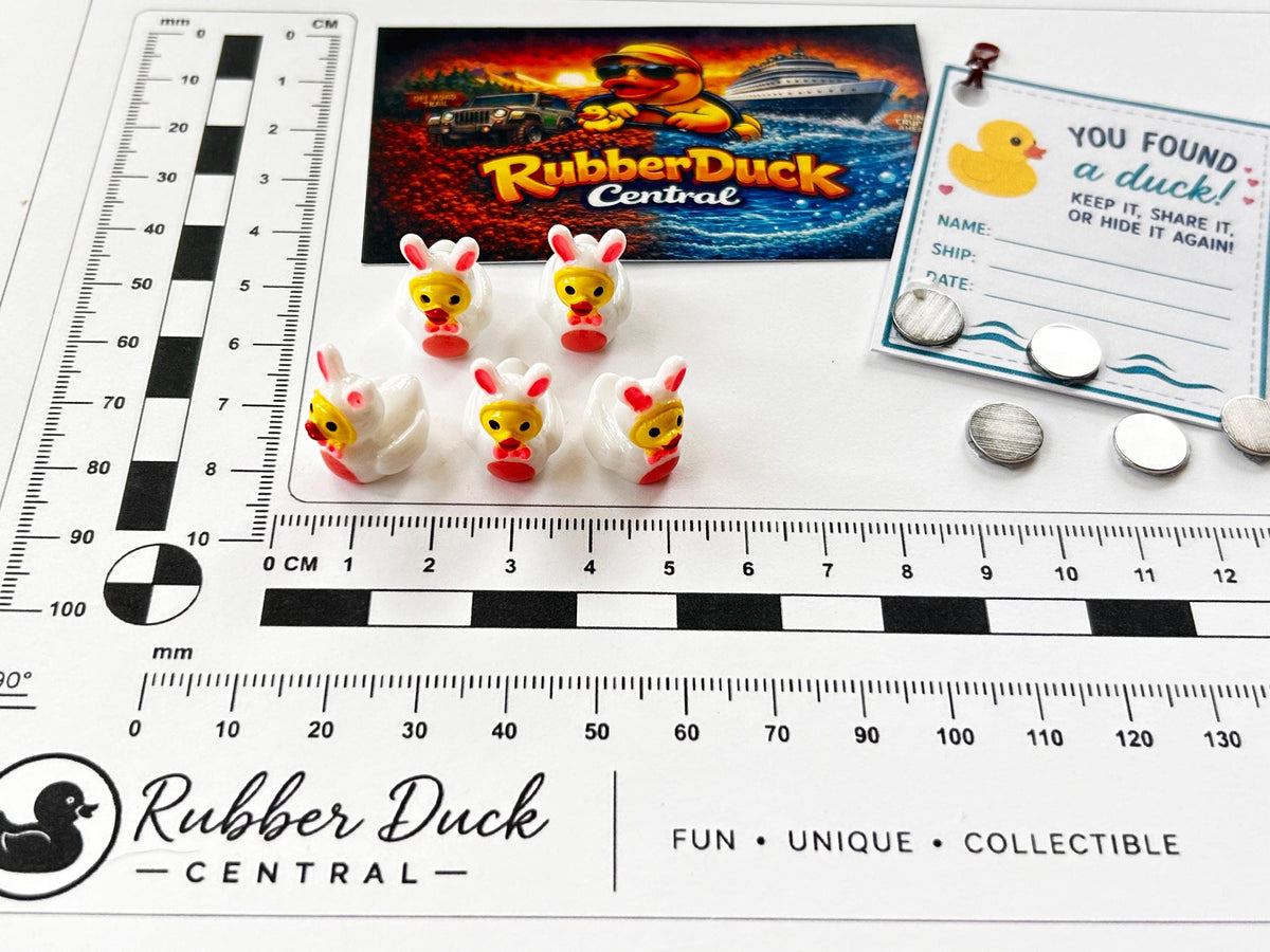 Set of 5, Bunny Rabbit Costume Themed Mini Resin Ducks, Magnetic or Non-Magnetic, Optional Personalized Duck Hiding Tags