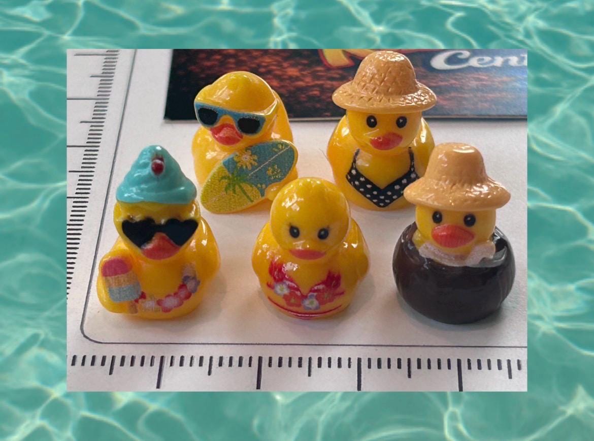 Set of 5, Vacation Time Fun Themed Mini Resin Ducks, Magnetic or Non-Magnetic, Optional Personalized Duck Hiding Tags