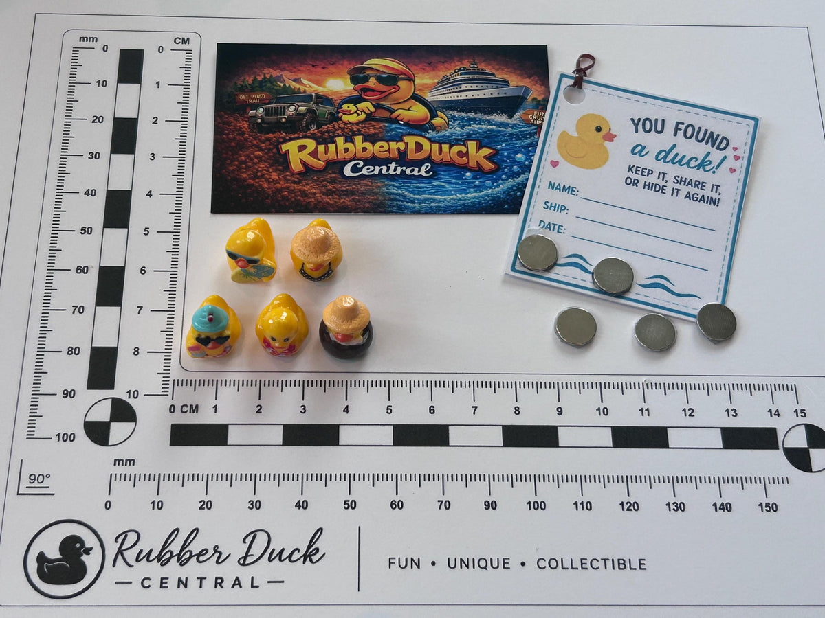 Set of 5, Vacation Time Fun Themed Mini Resin Ducks, Magnetic or Non-Magnetic, Optional Personalized Duck Hiding Tags