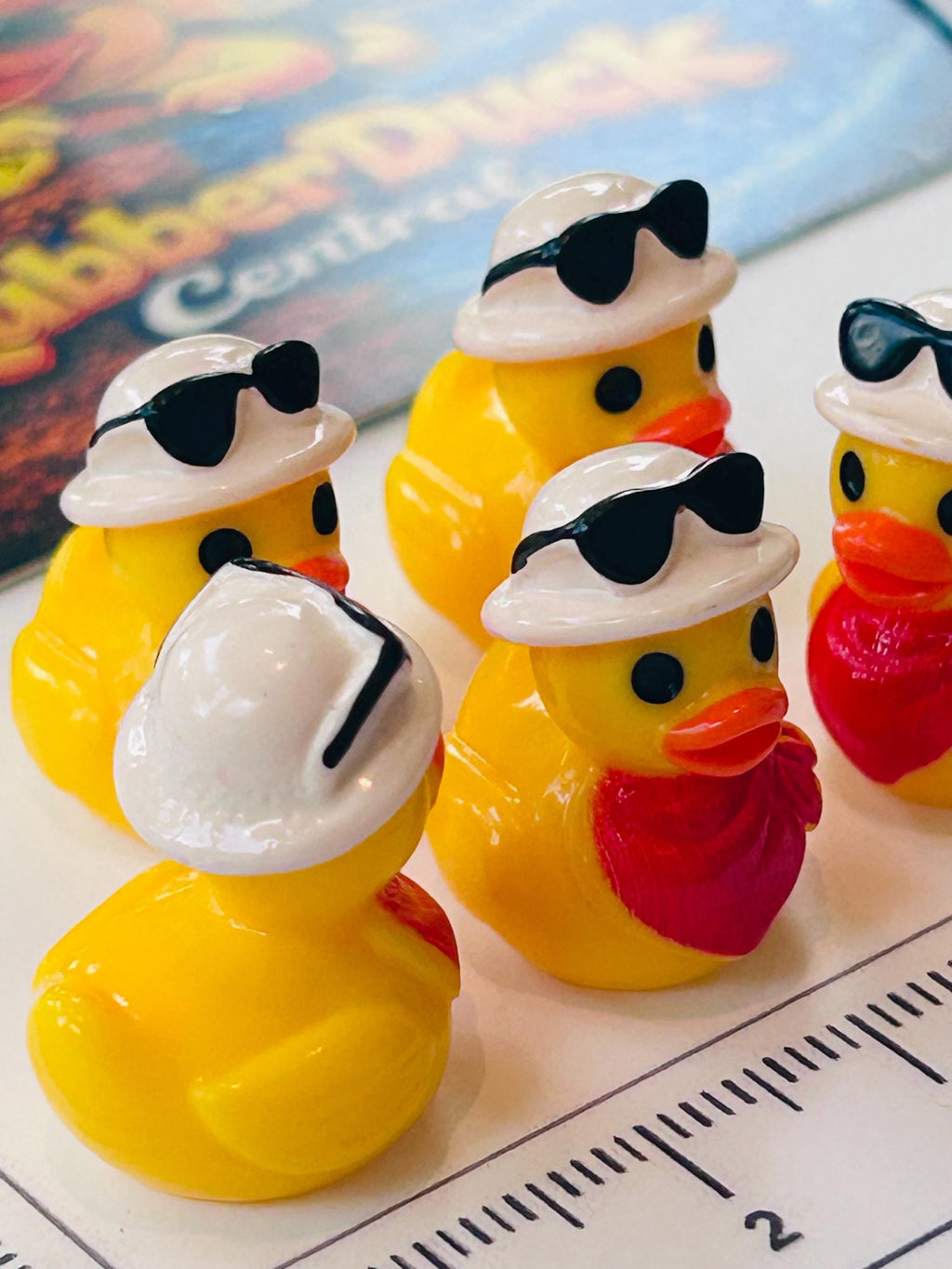 Set of 5, Country with Sunglasses on Head Themed Mini Resin Ducks, Magnetic or Non-Magnetic, Optional Personalized Duck Hiding Tags
