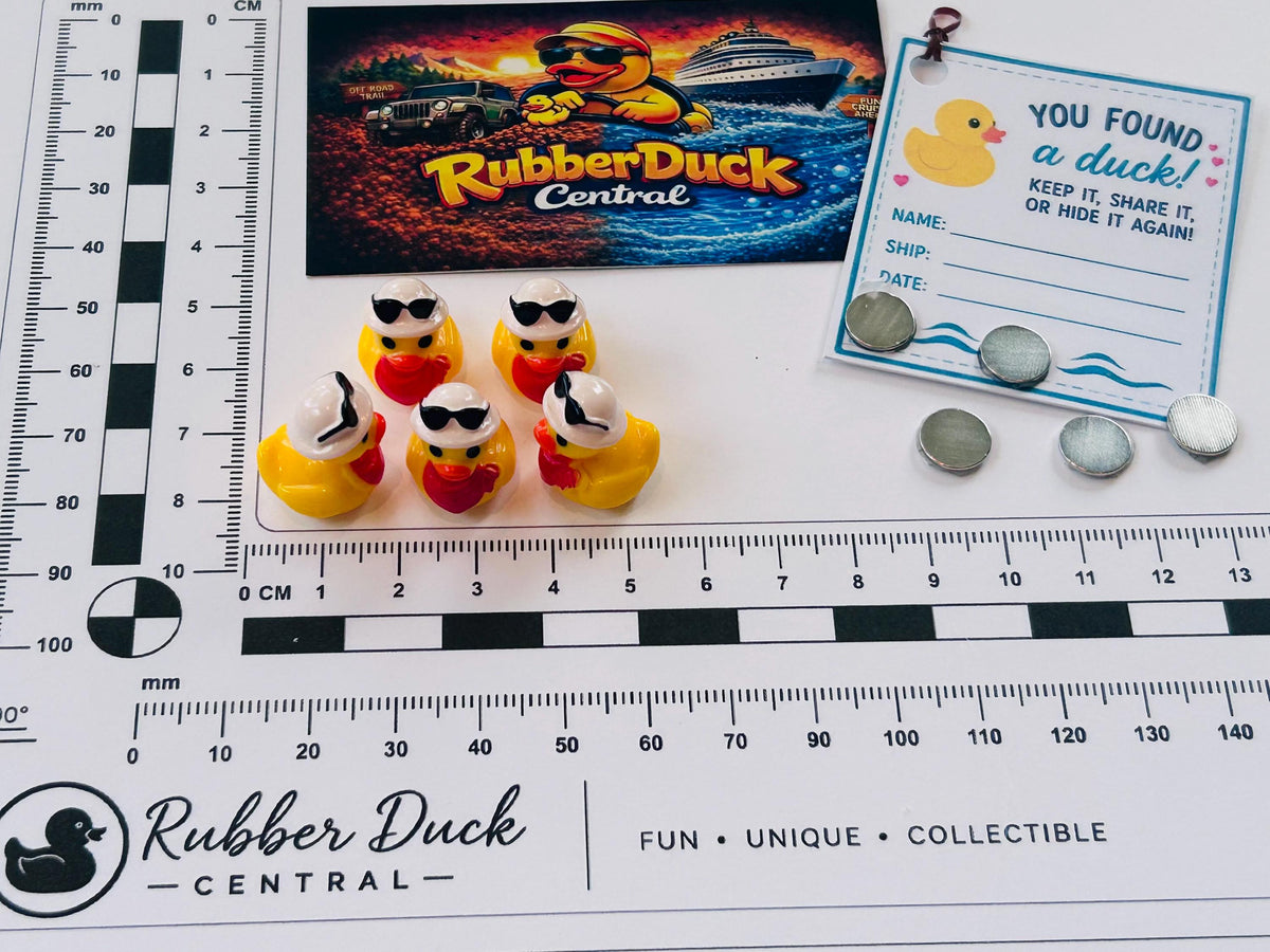 Set of 5, Country with Sunglasses on Head Themed Mini Resin Ducks, Magnetic or Non-Magnetic, Optional Personalized Duck Hiding Tags