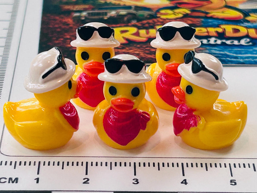 Set of 5, Country with Sunglasses on Head Themed Mini Resin Ducks, Magnetic or Non-Magnetic, Optional Personalized Duck Hiding Tags